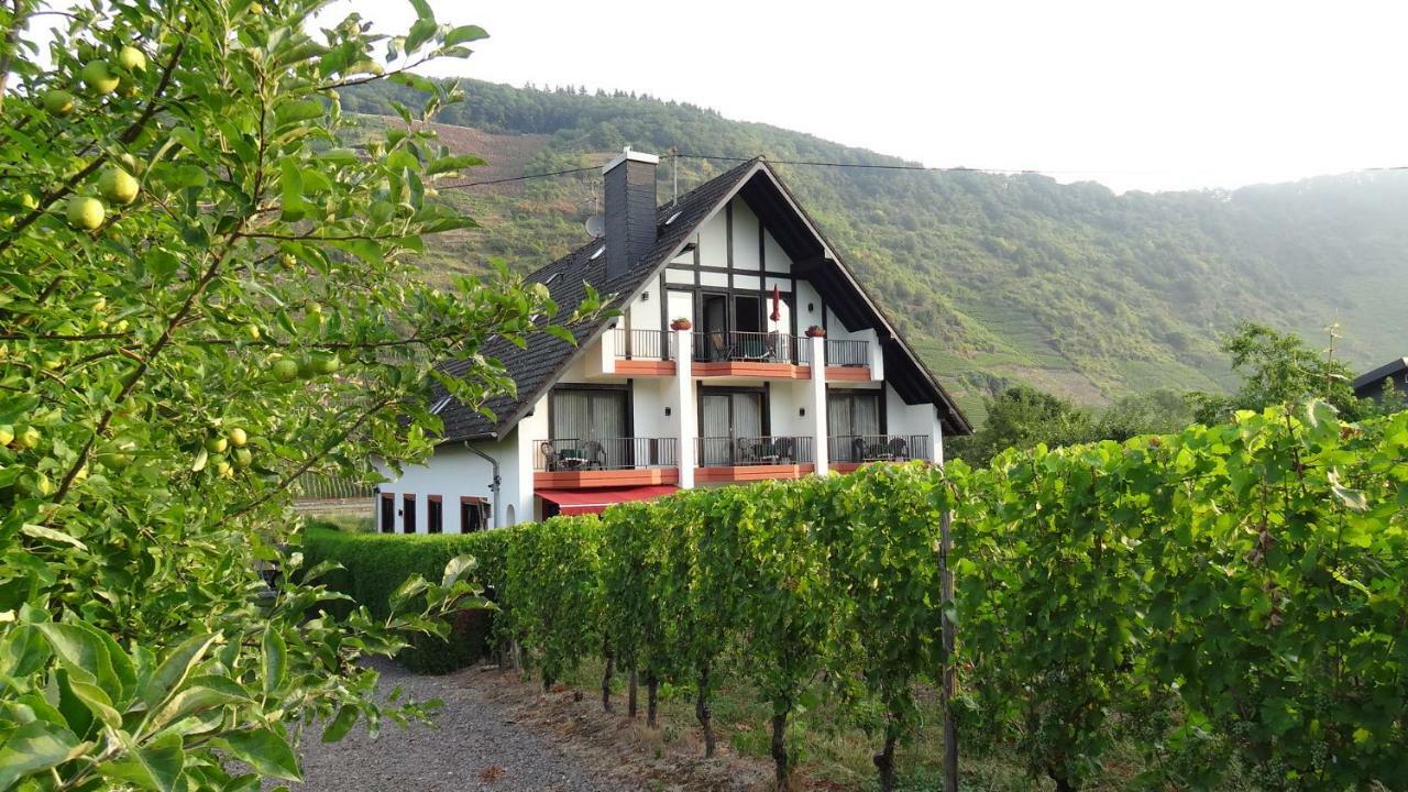Haus Weingarten Appartements-Zimmer Ernst Pokój zdjęcie